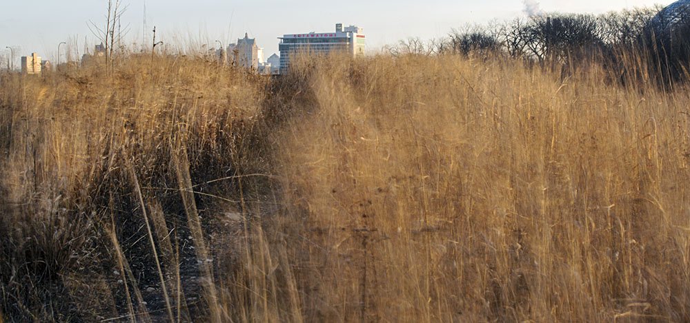 How to Photograph the Wind (A Wealth of Nature)