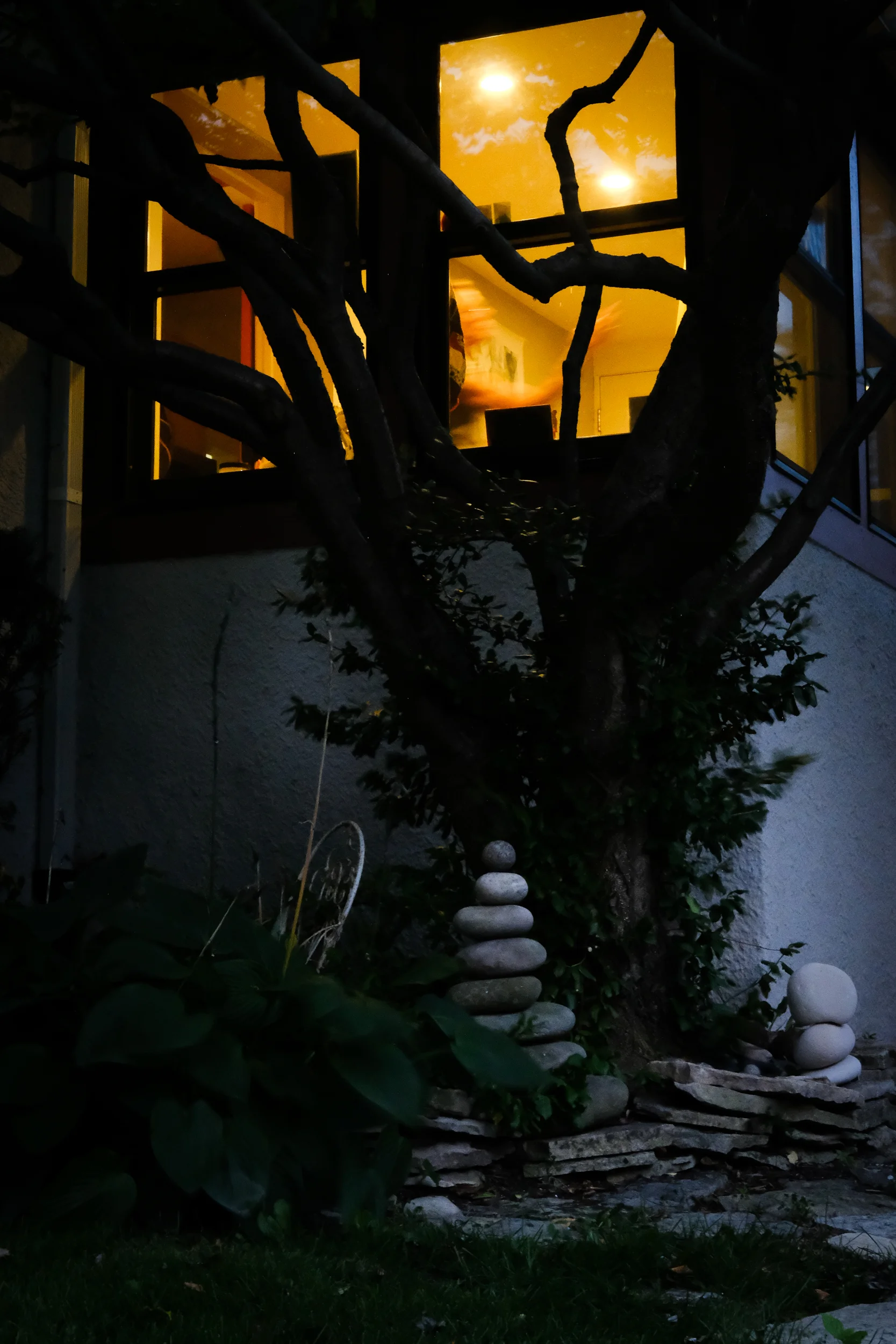DSCF8050.jpg