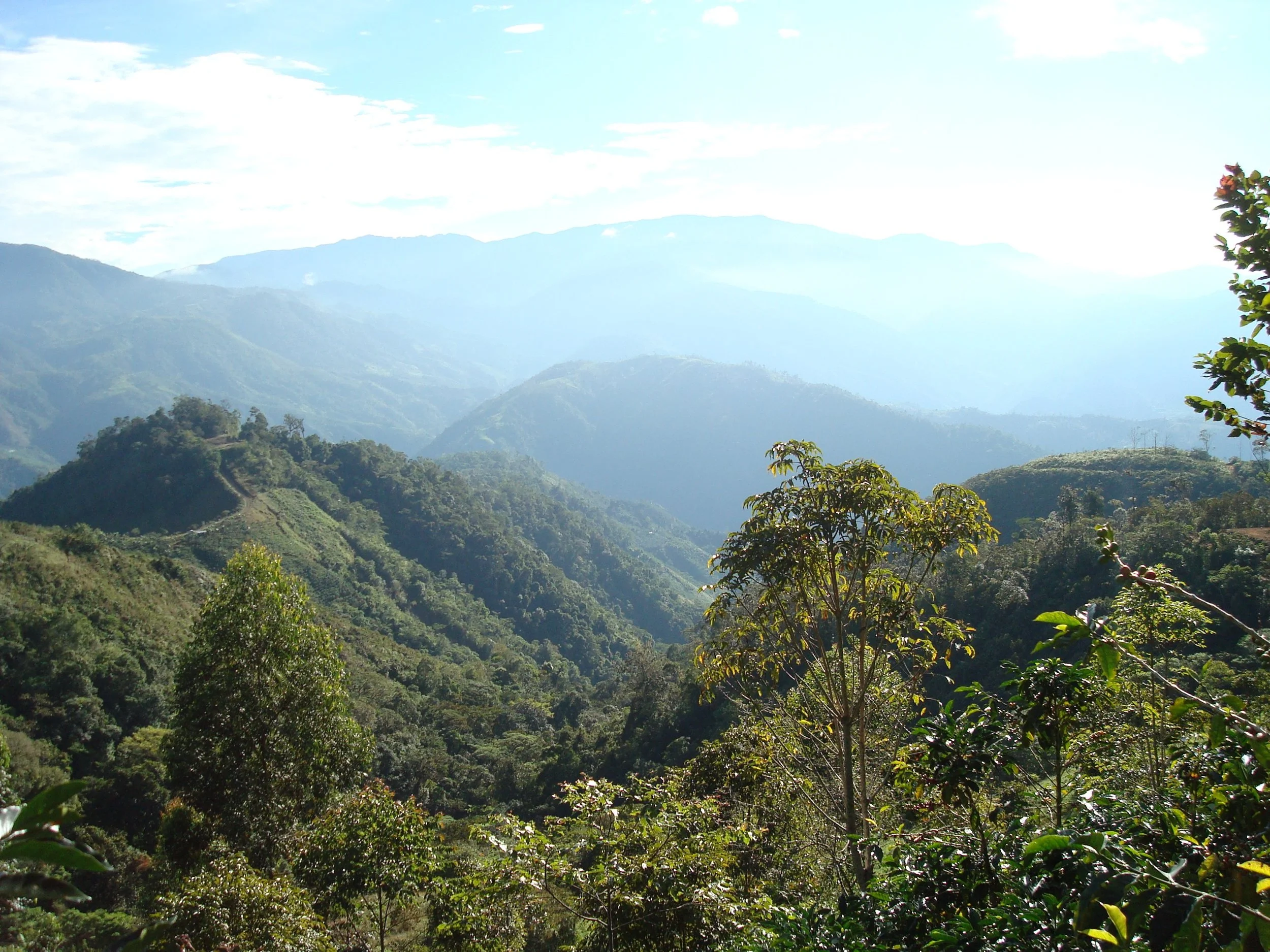 Costa Rica Tarrazu.jpg