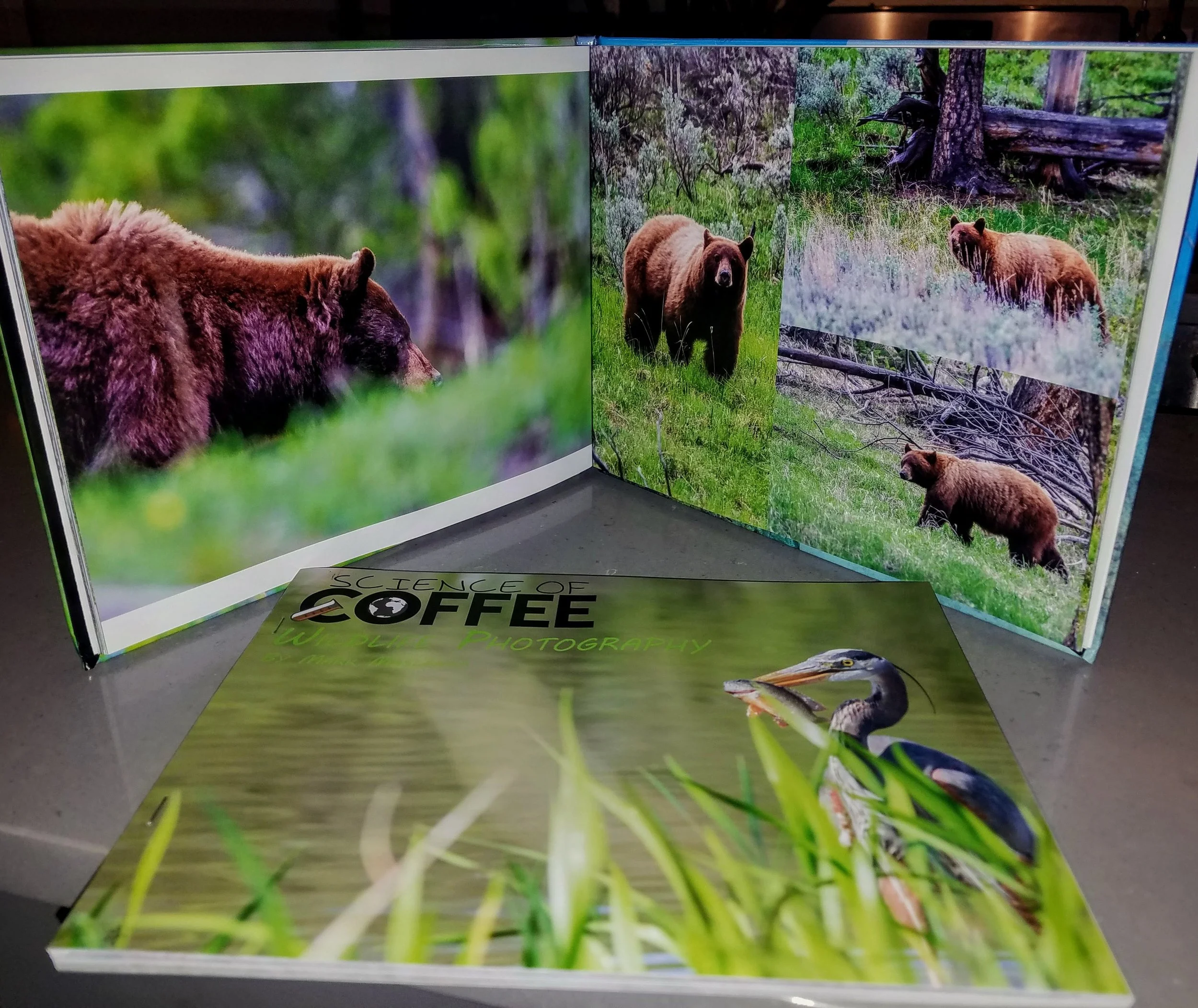Wildlife Photography Book