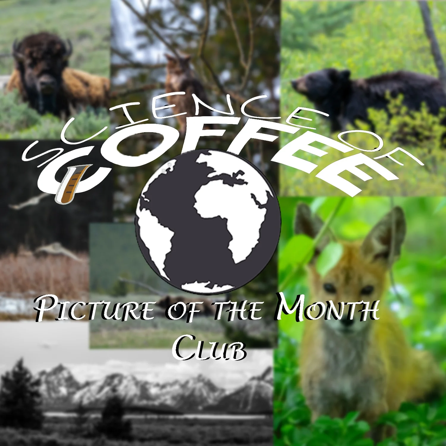 Picture+of+the+Month+Clubv5.jpg
