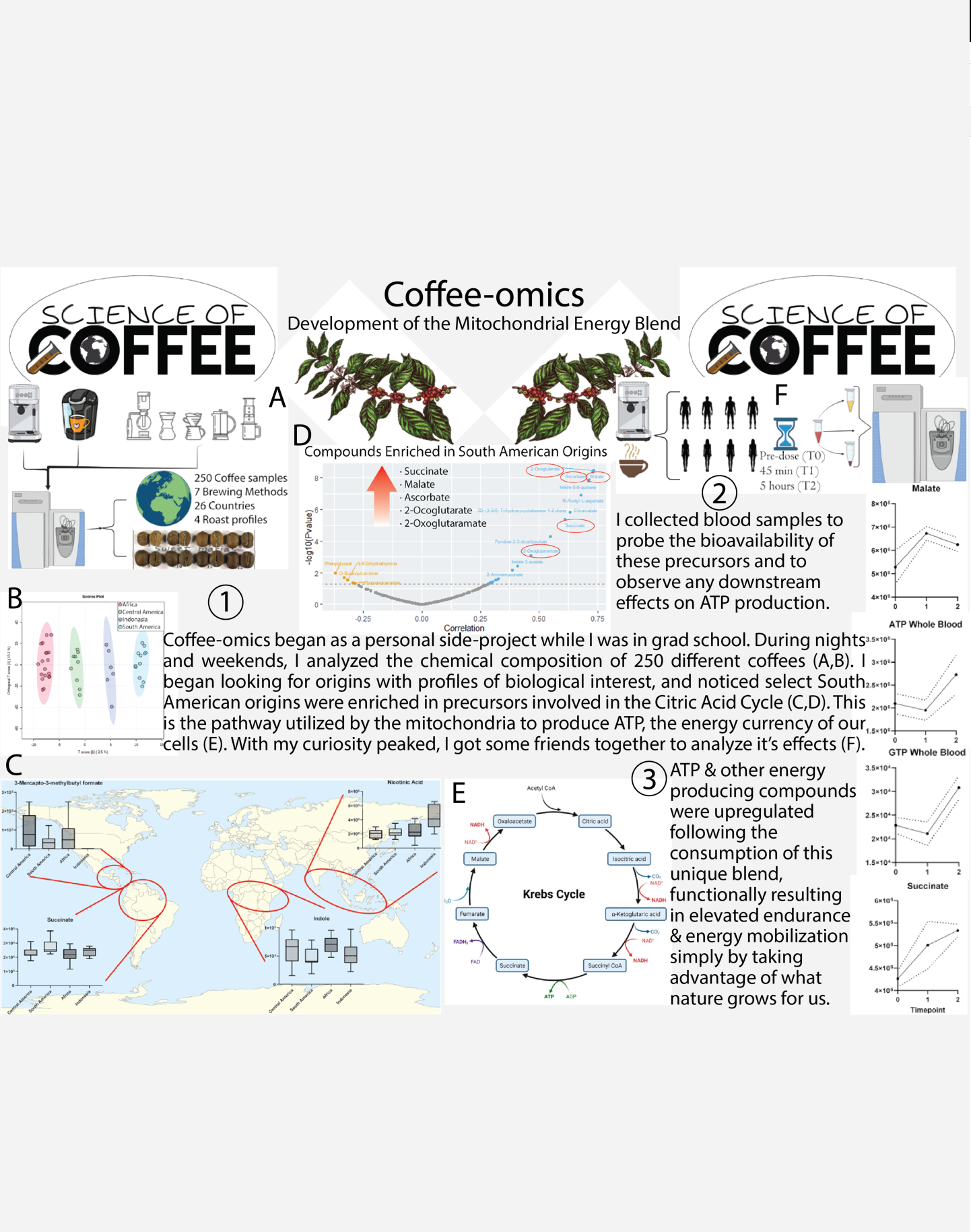 Mito_energy_blend_Infographic_tall.PNG