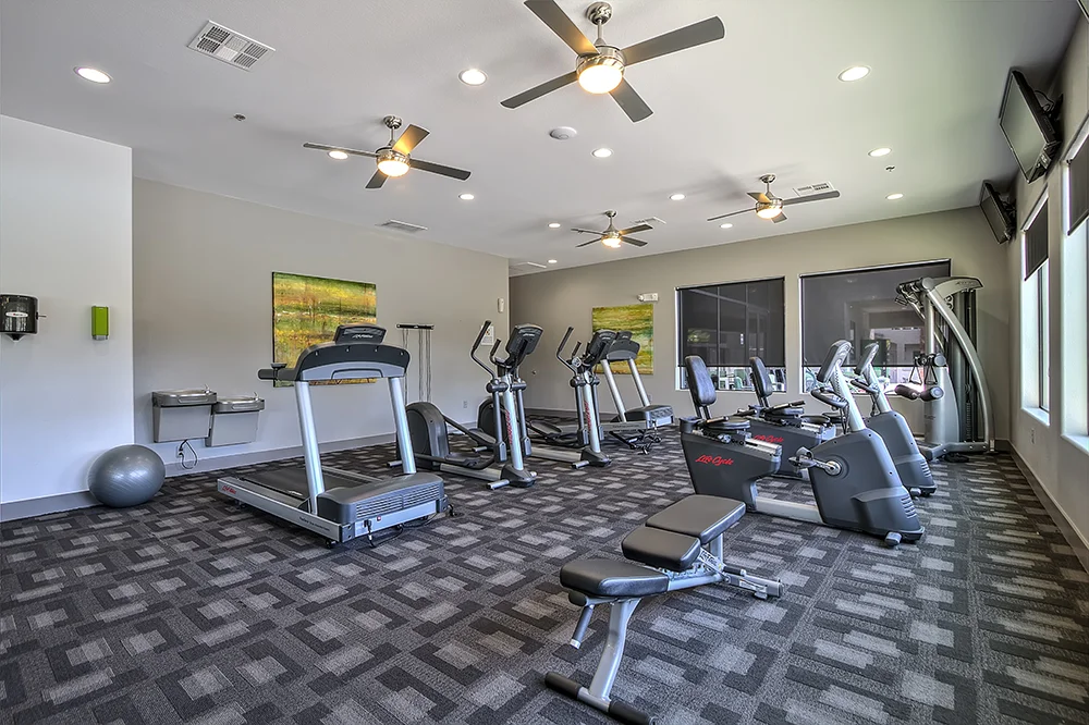 Domain Gym