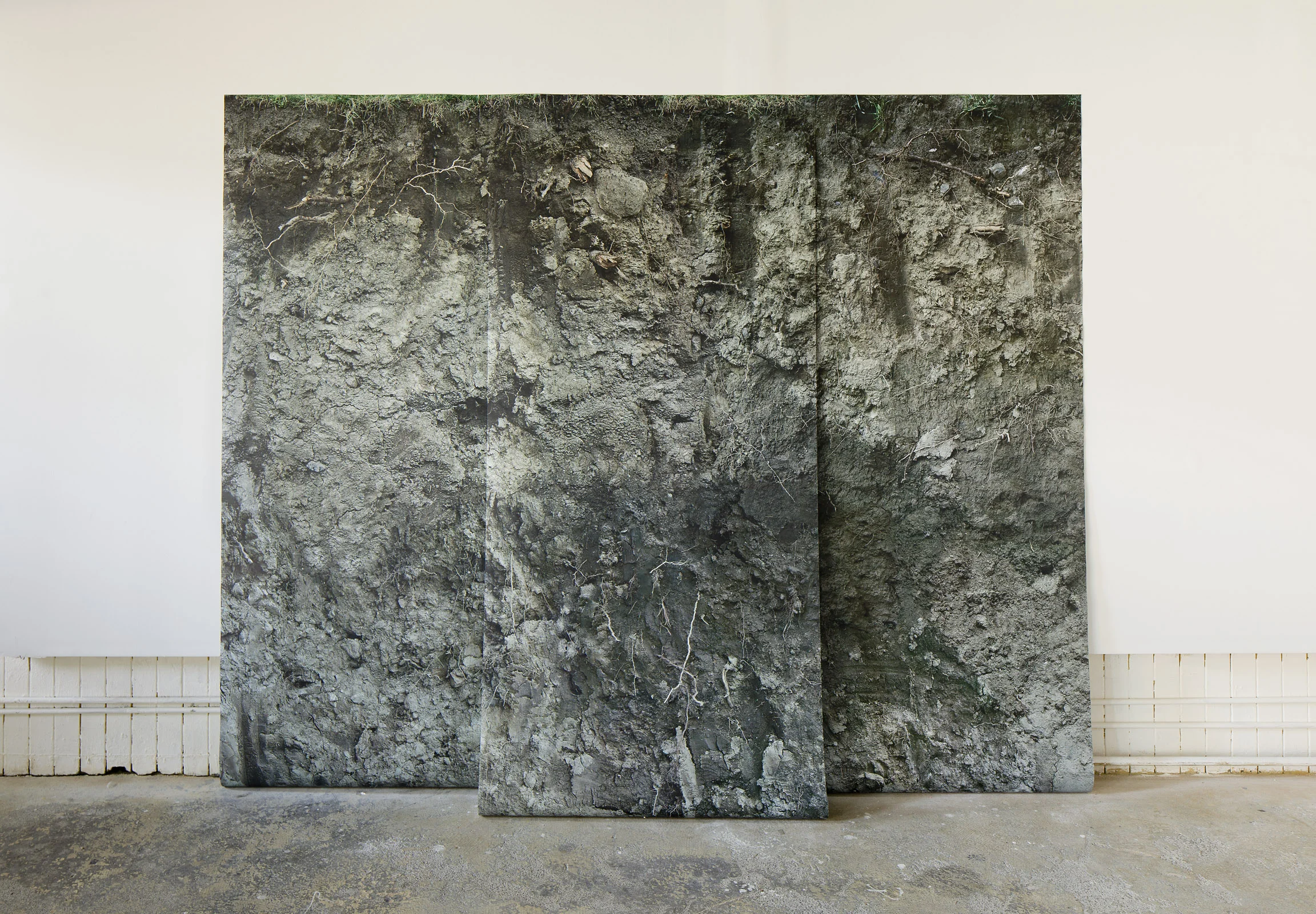 Artist Talk with Sarah Ciurysek