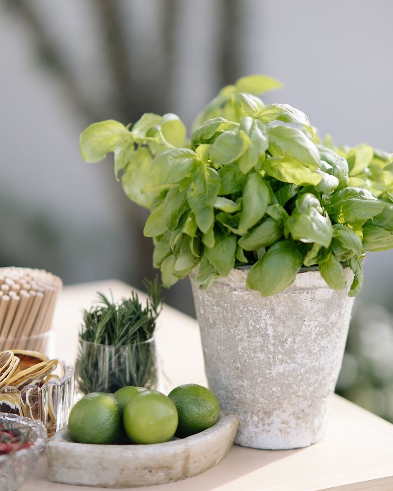 Fresh picked basil, always. 

Photographer: @mazelmaphotography 
Planner/Host- @wildeandsageco
Venue: @agapesanclemente
Florist - @chloerose.design 
Signage - @blushwoodco
Stationary - @velvetfoxdesigns
Cake - @tattooedbakery_
Drinks - @sipsipmobileb