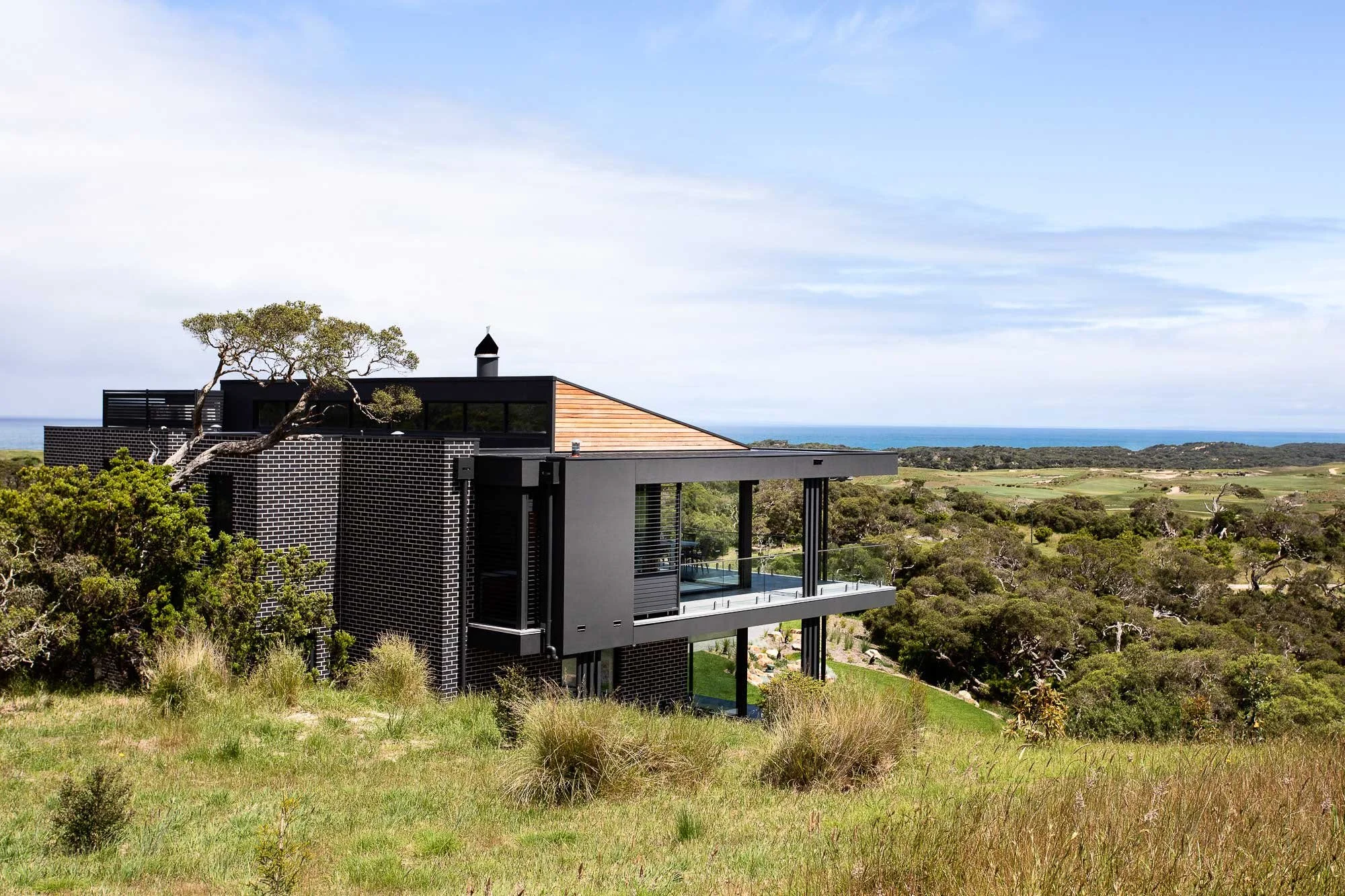 The Cups | Mornington