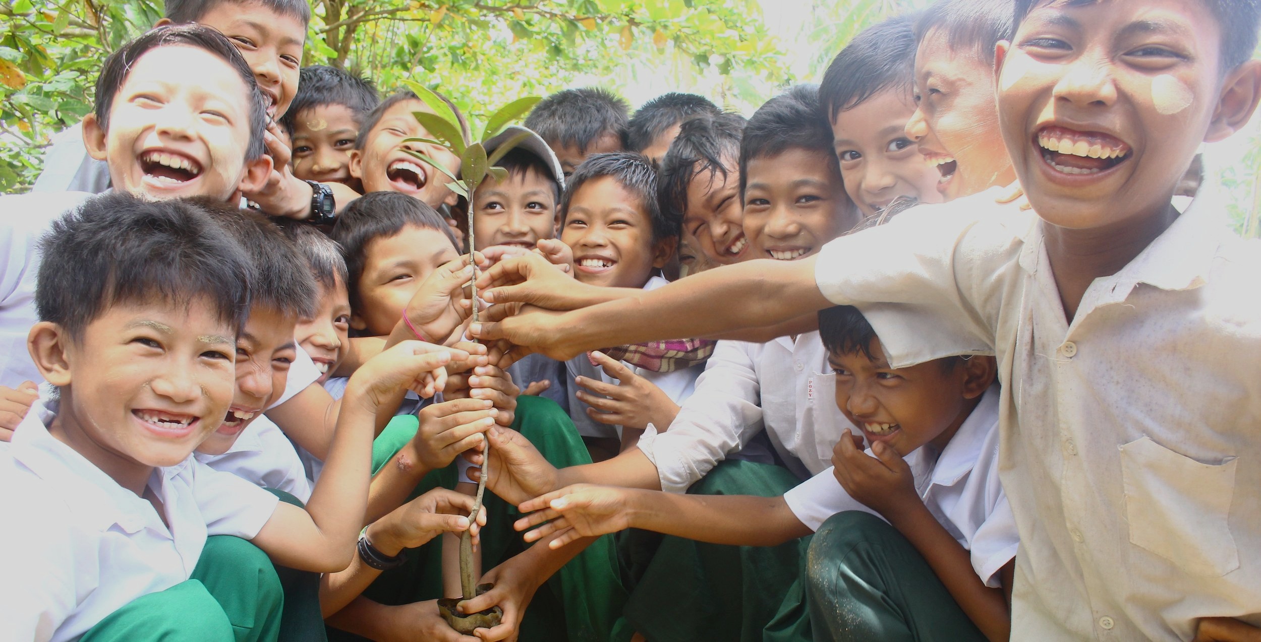 Students+participate+in+WIF+mangrove+replantation+banner.jpg
