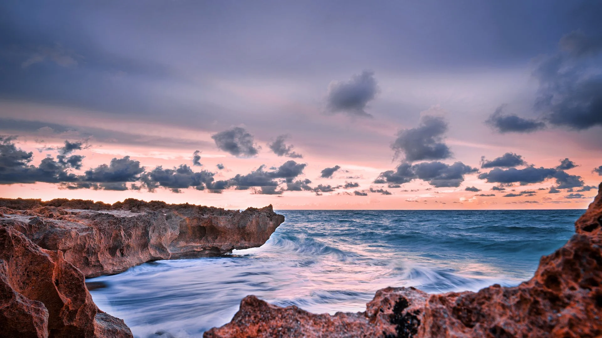 jensen-morningdew copy.jpeg