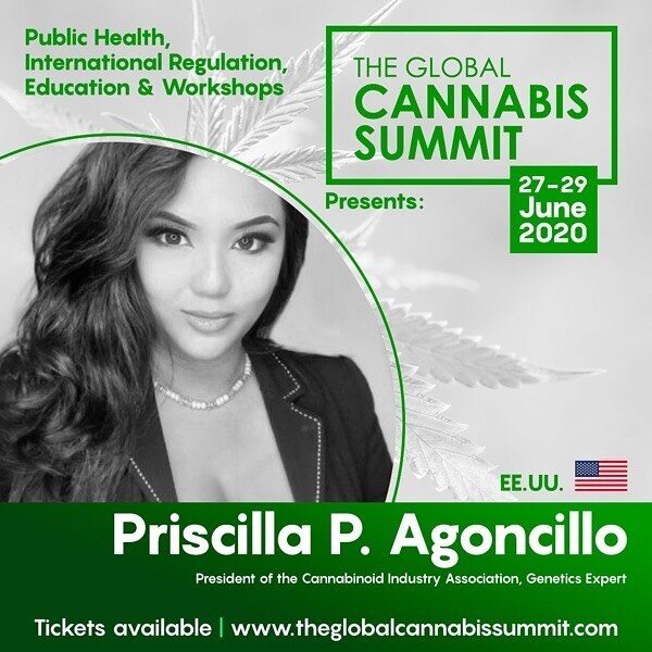 Honored to speak at the #GlobalCannabisSummit with the world&rsquo;s leading #cannabis #researcher #MechoulamTheScientist and the worlds leading experts in #CannabisScience &amp; #GlobalCannabisMarket #OriginalBreedersLeague