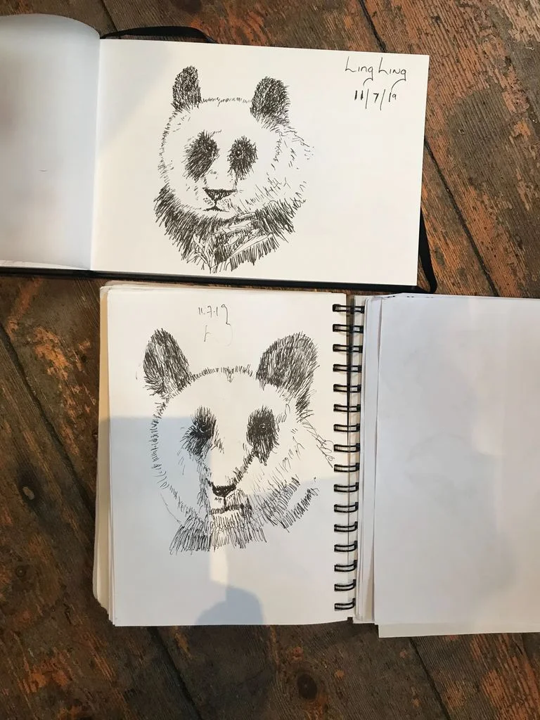 Melbourne Sketch Classes. 