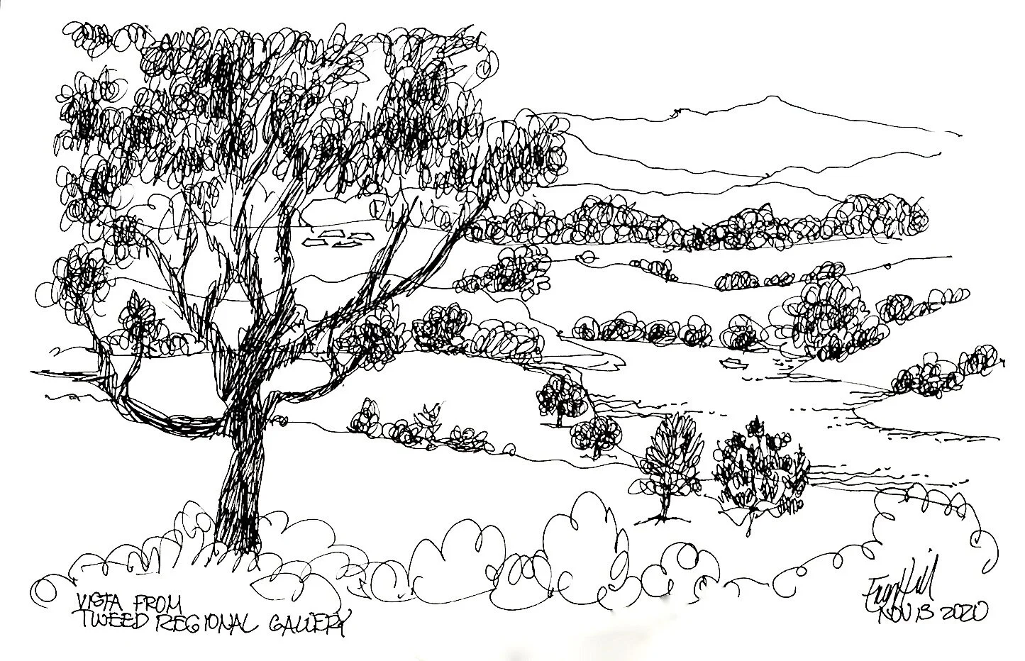 The Texture and Patterns of Trees