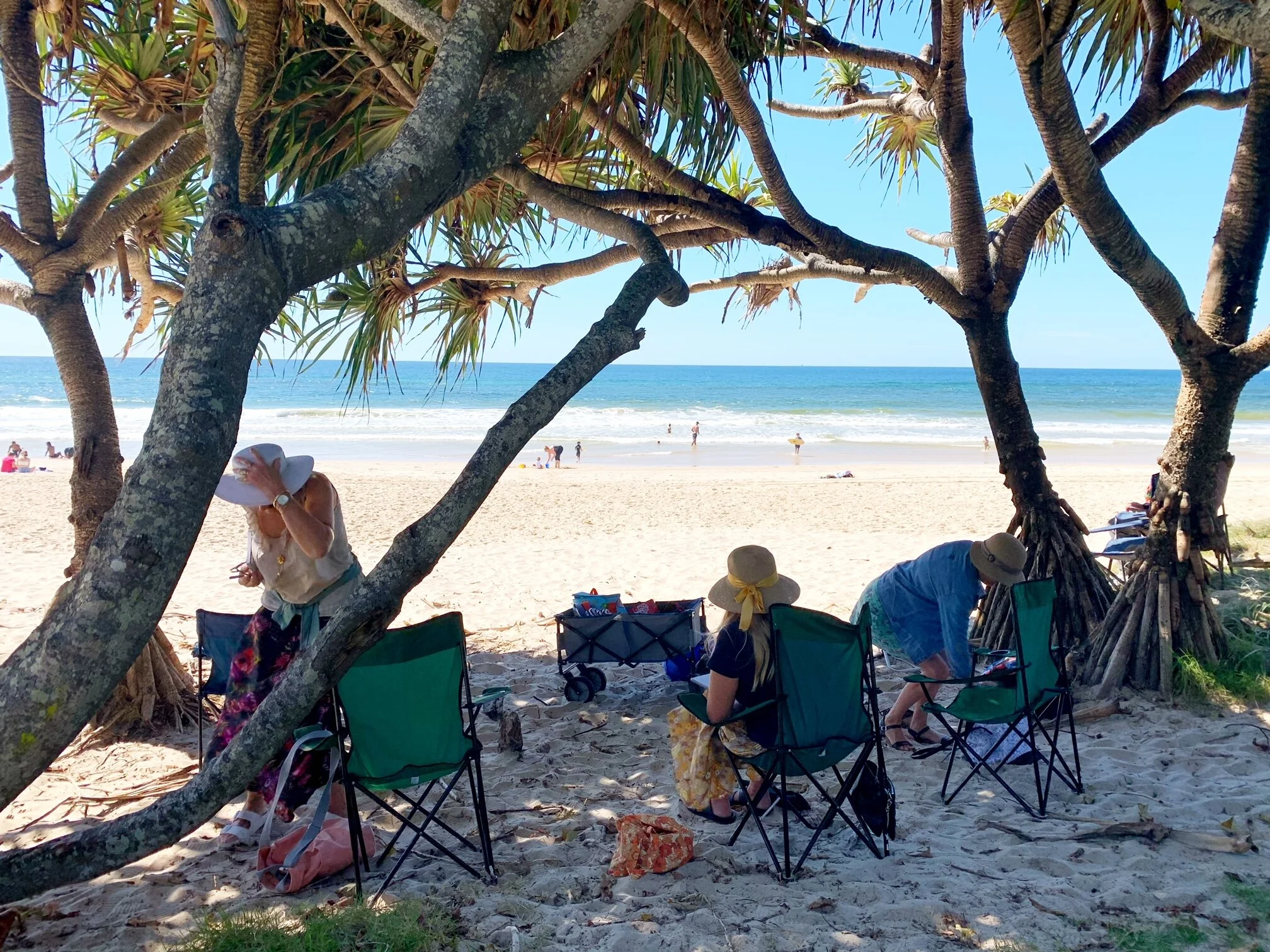 Let Your Colours Bloom