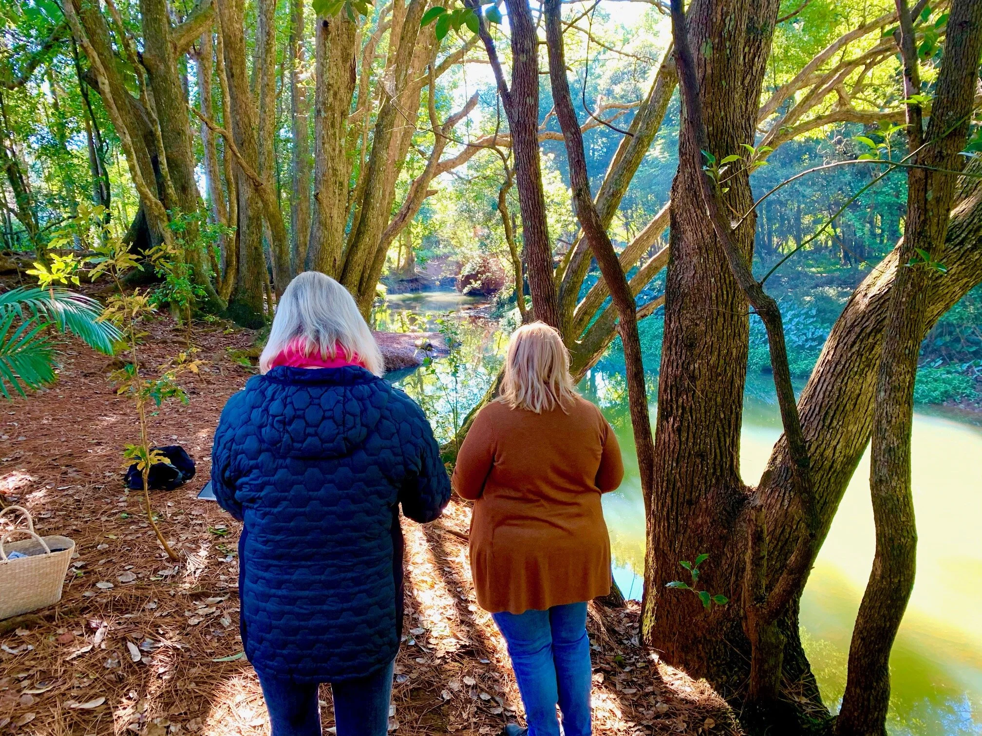 Magical Forests, Landscapes &amp; Margaret Olley