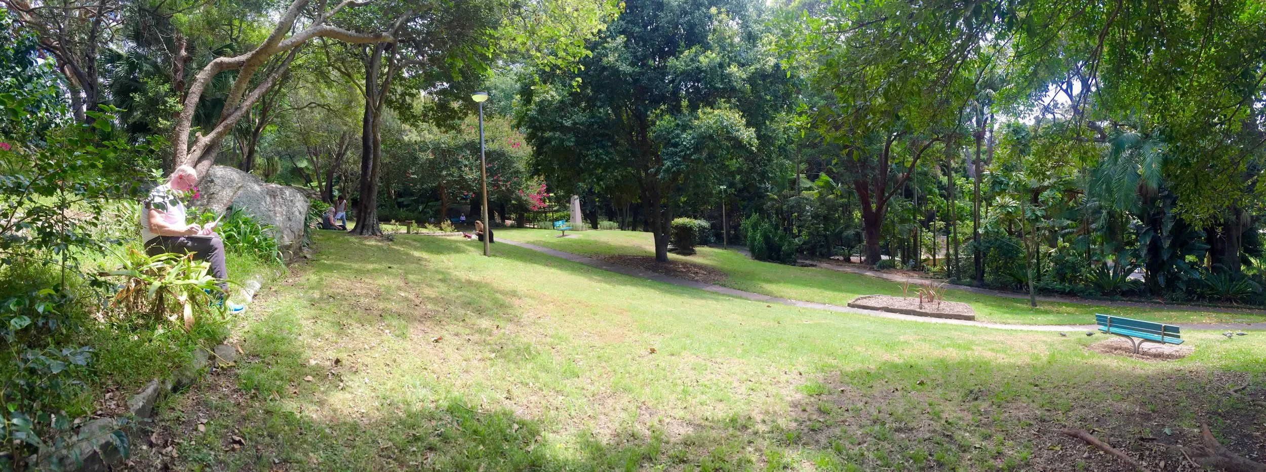 Sketching Trees - Observing the Differences