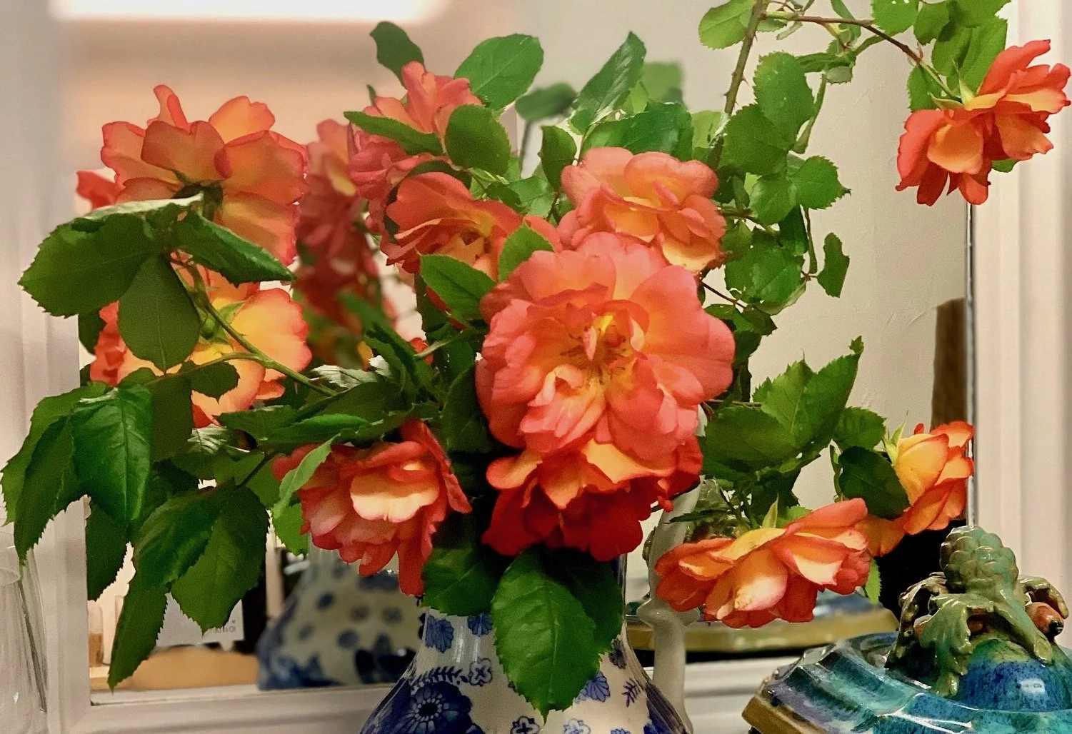 Wild Flowers, Herbs, Roses and Old Wares in The Minervois