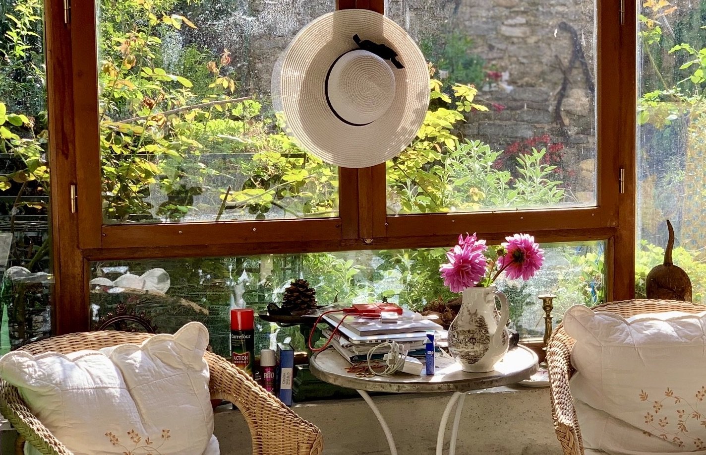 Roses and the garden through Summer Kitchen window