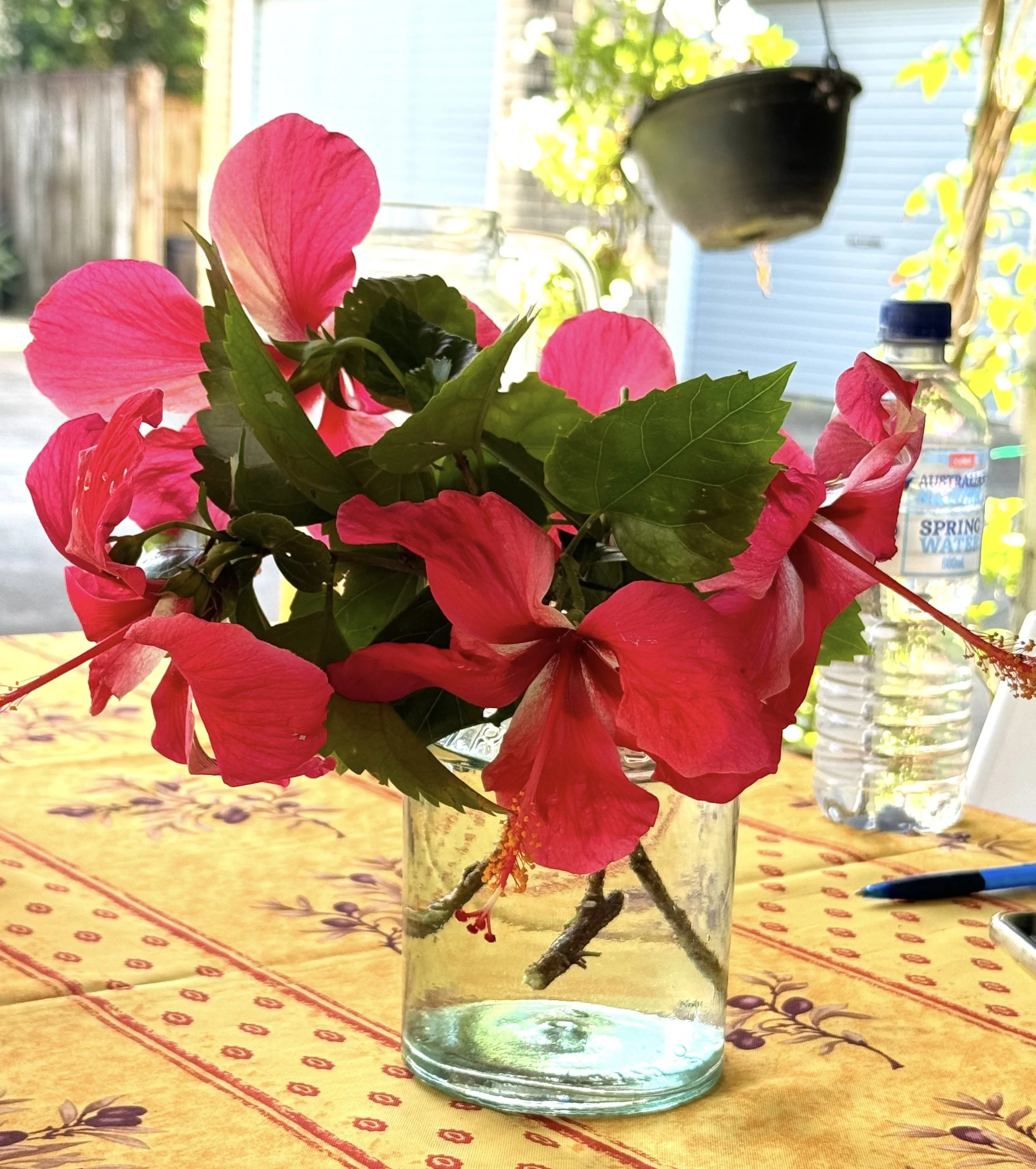 Erin Hill Hibiscus.jpg