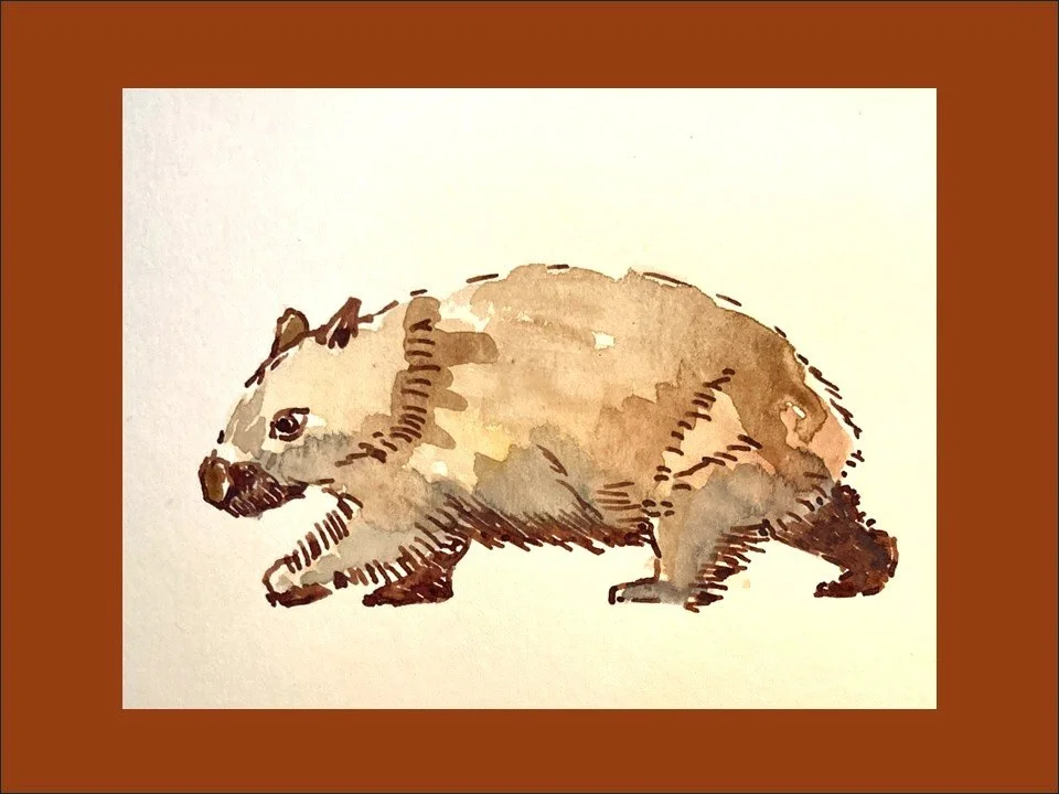 wombat with border.jpg