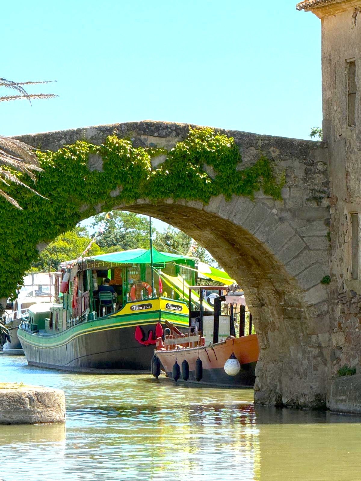 Under the bridgr Le Somail.JPG