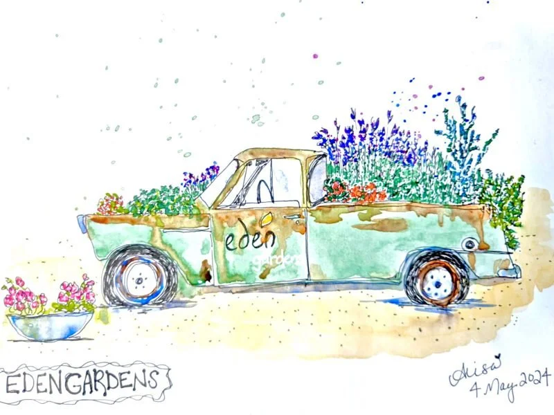 Alisa-Cooper-Travel-Sketchbook-in-Fiji-800x600.jpeg