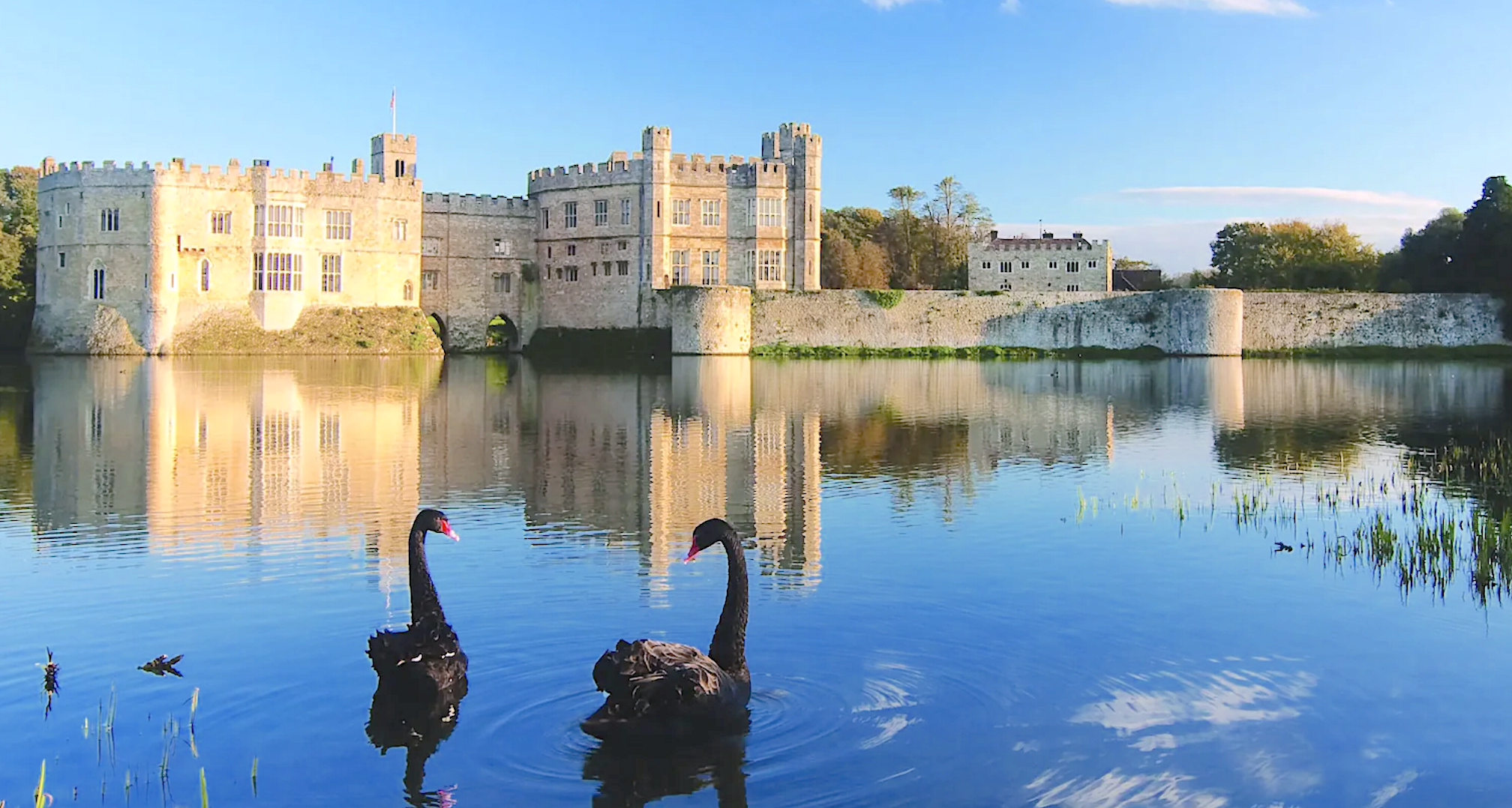 Castle and swans 2.png
