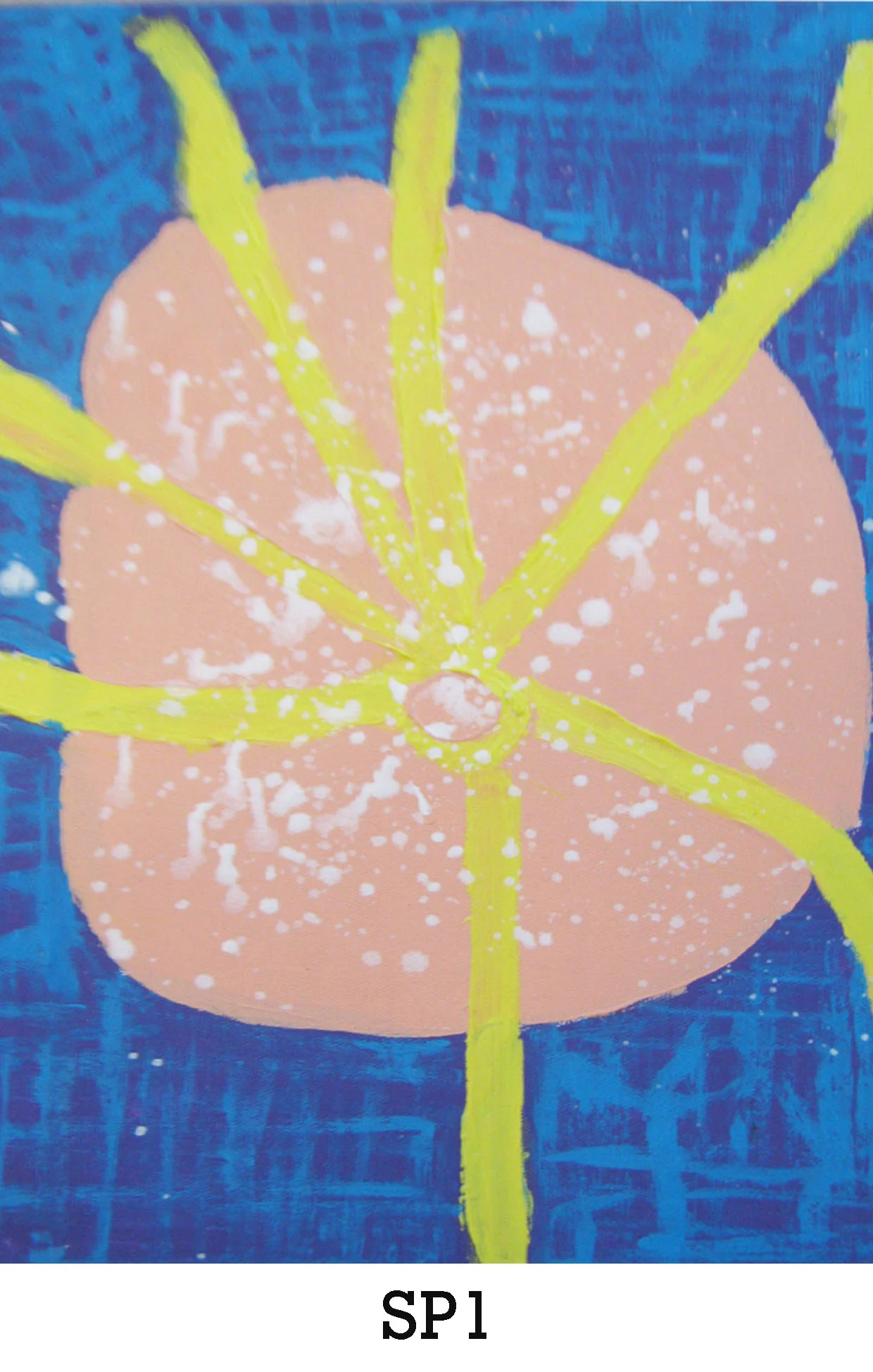 website image sp1.jpg