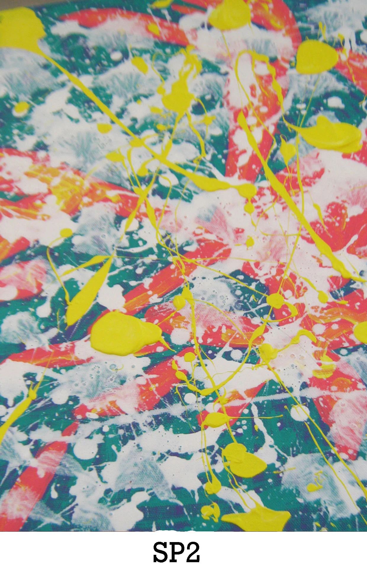 website image sp2.jpg