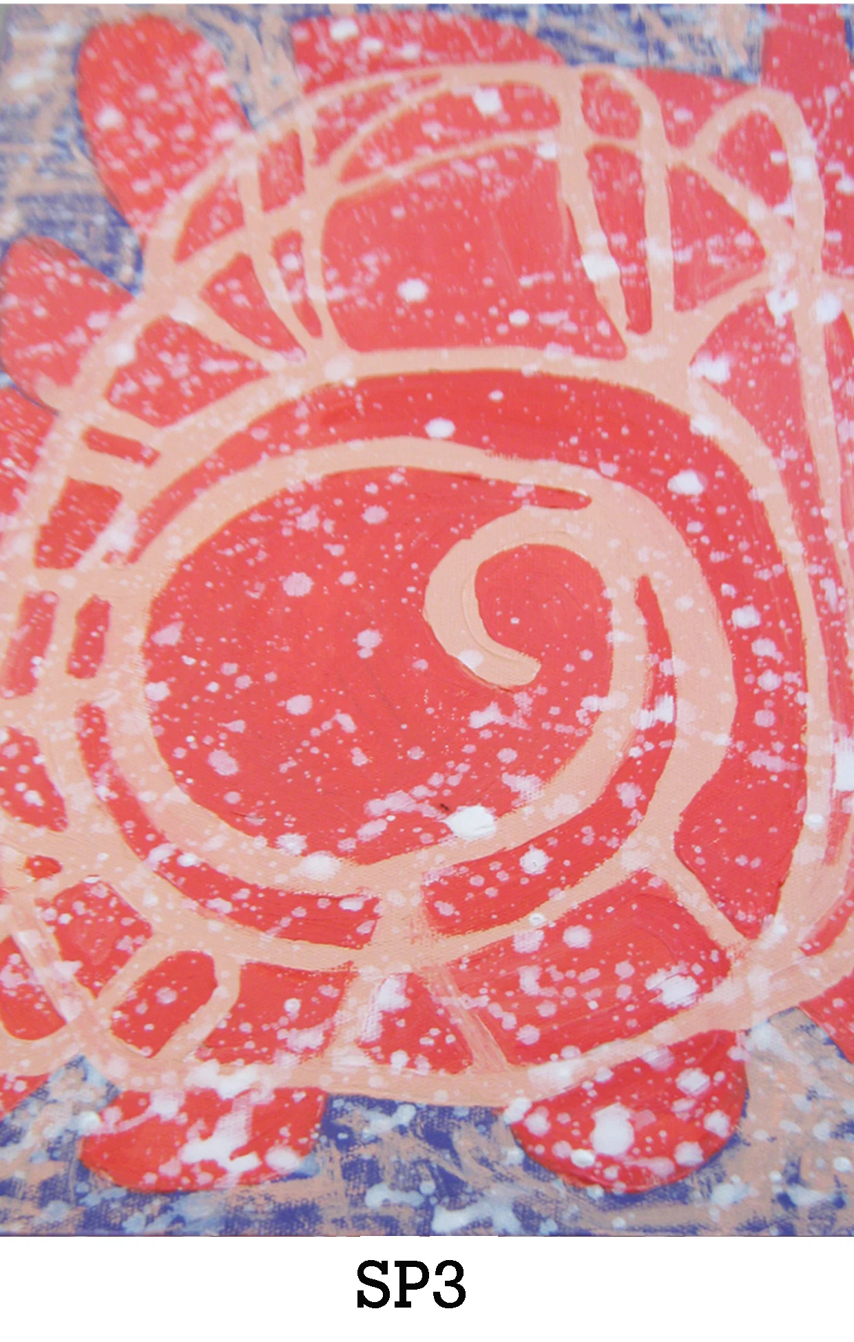 website image sp3.jpg