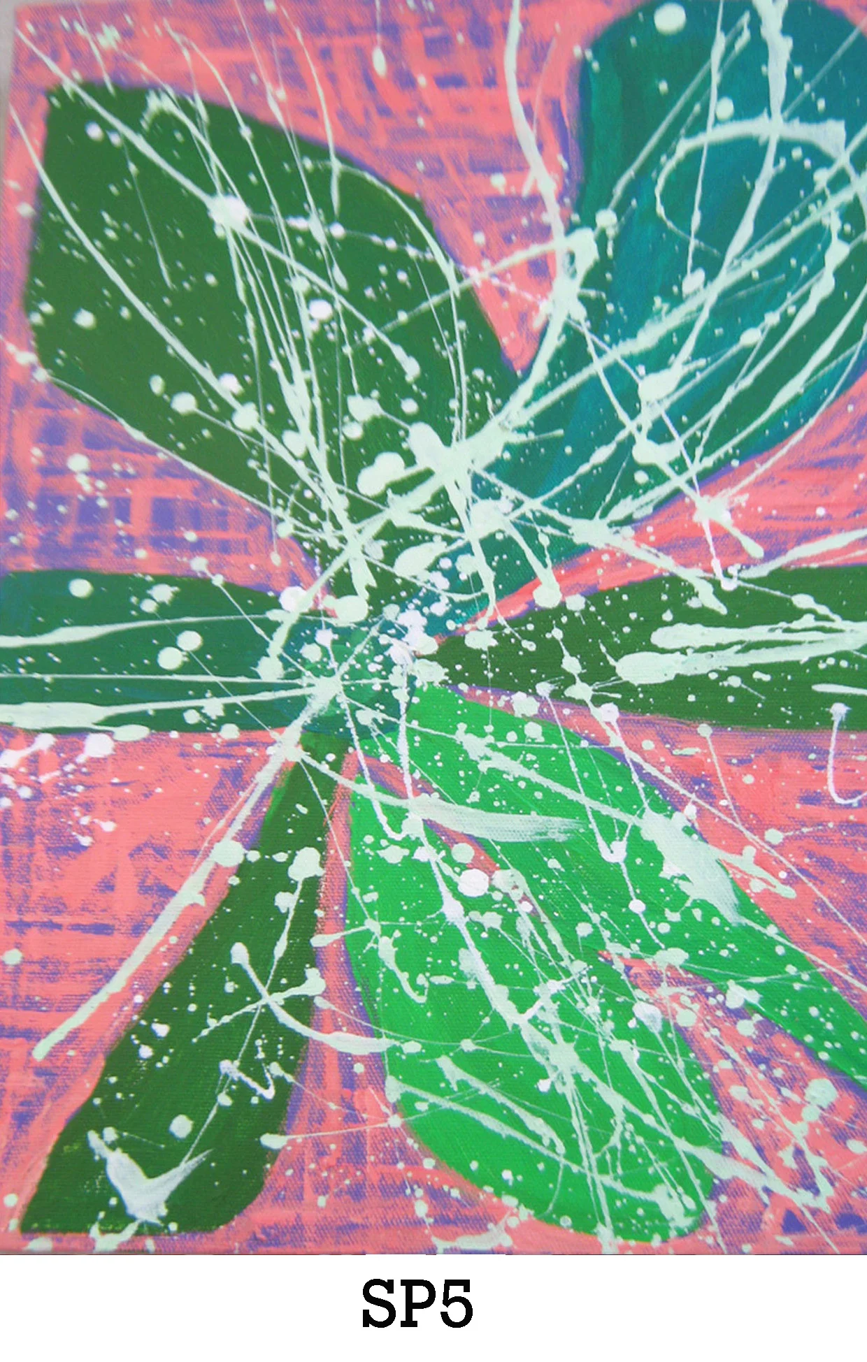 website image sp5 copy.jpg