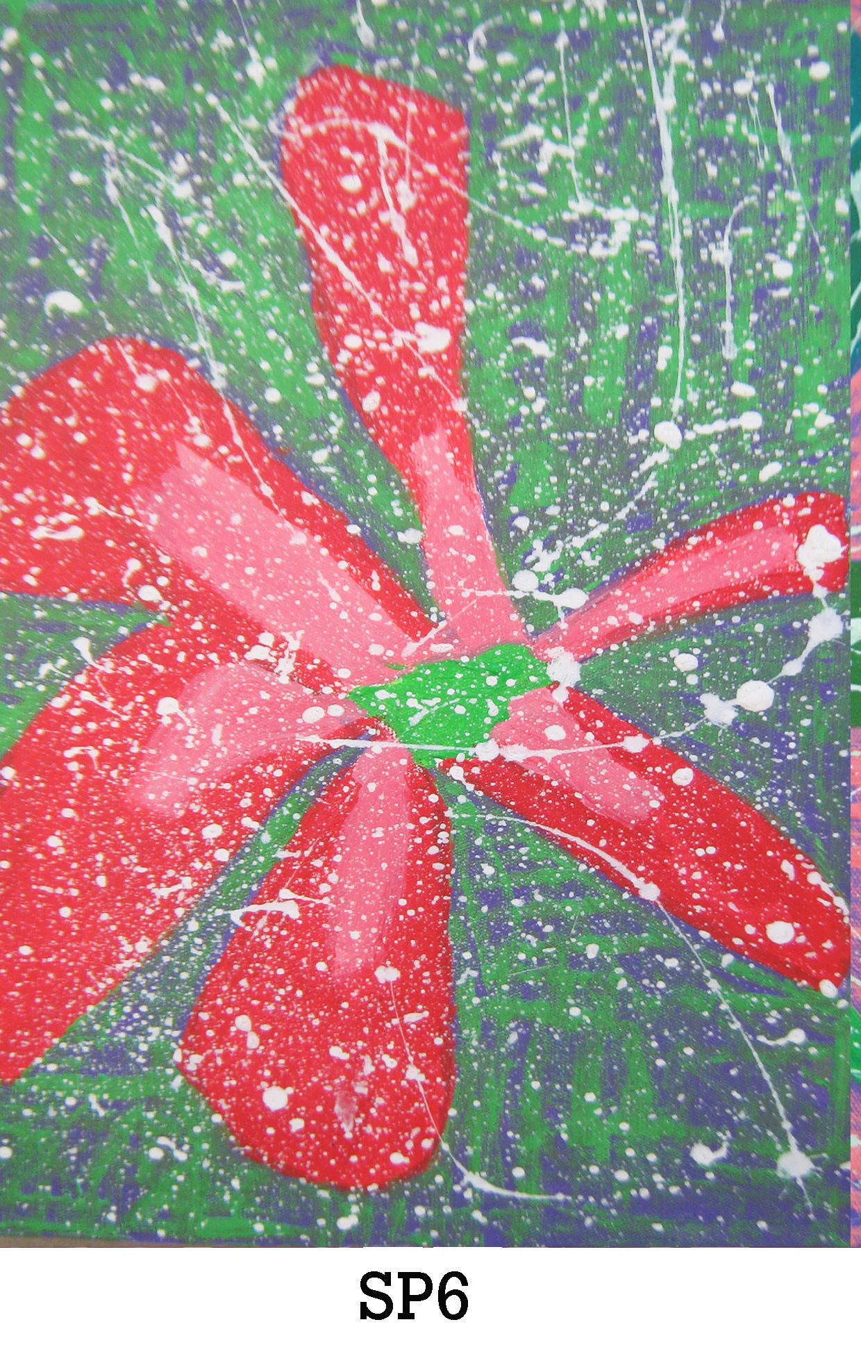 website image sp6 copy.jpg