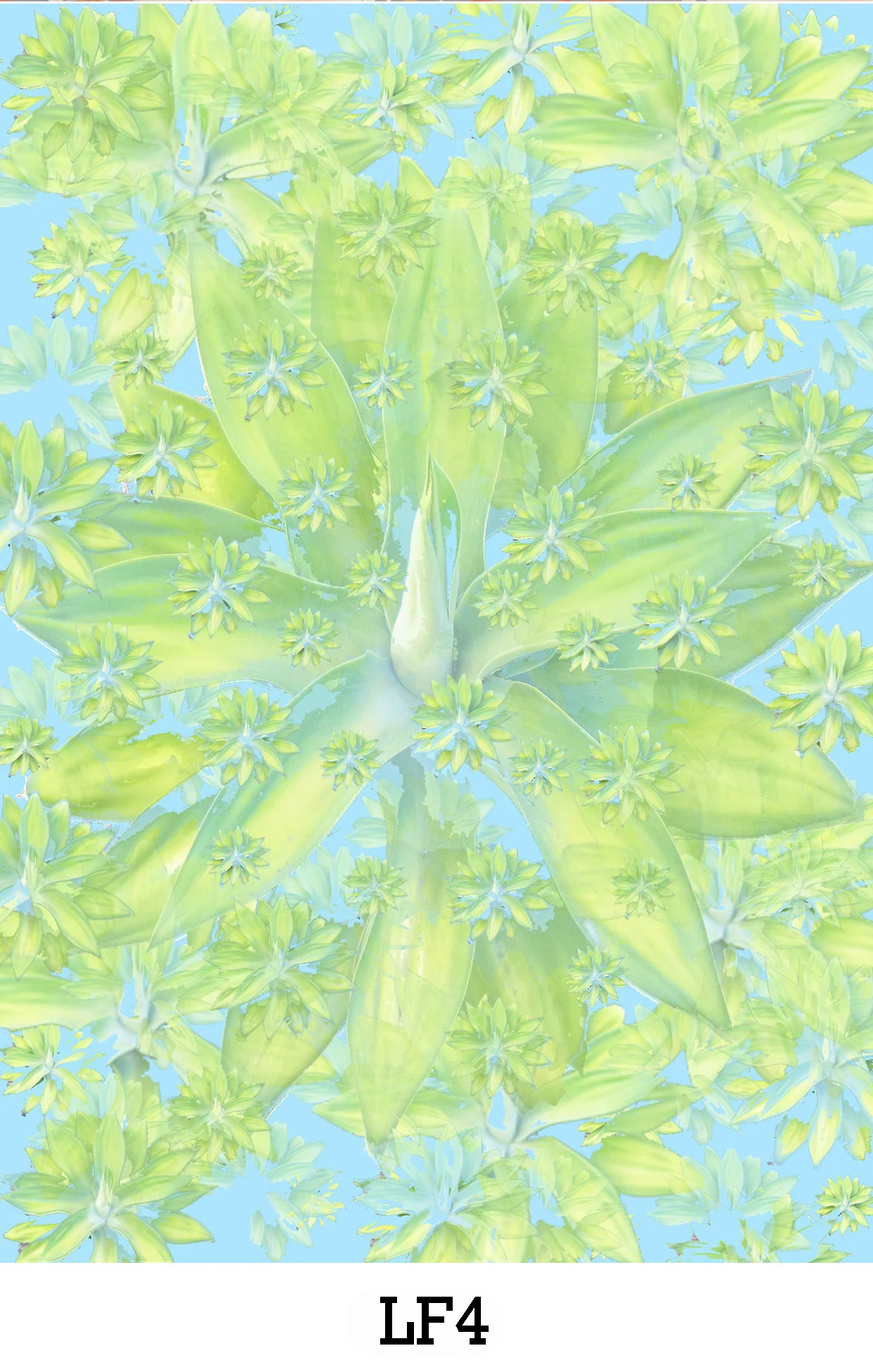 website image LF3.jpg