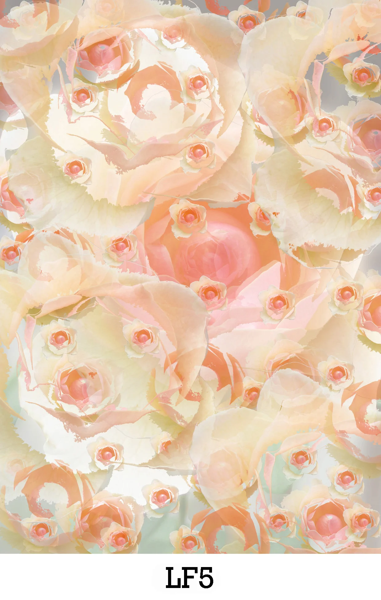 website image LF5.jpg