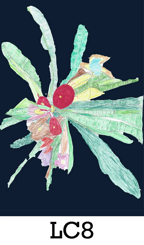 LC8.jpg