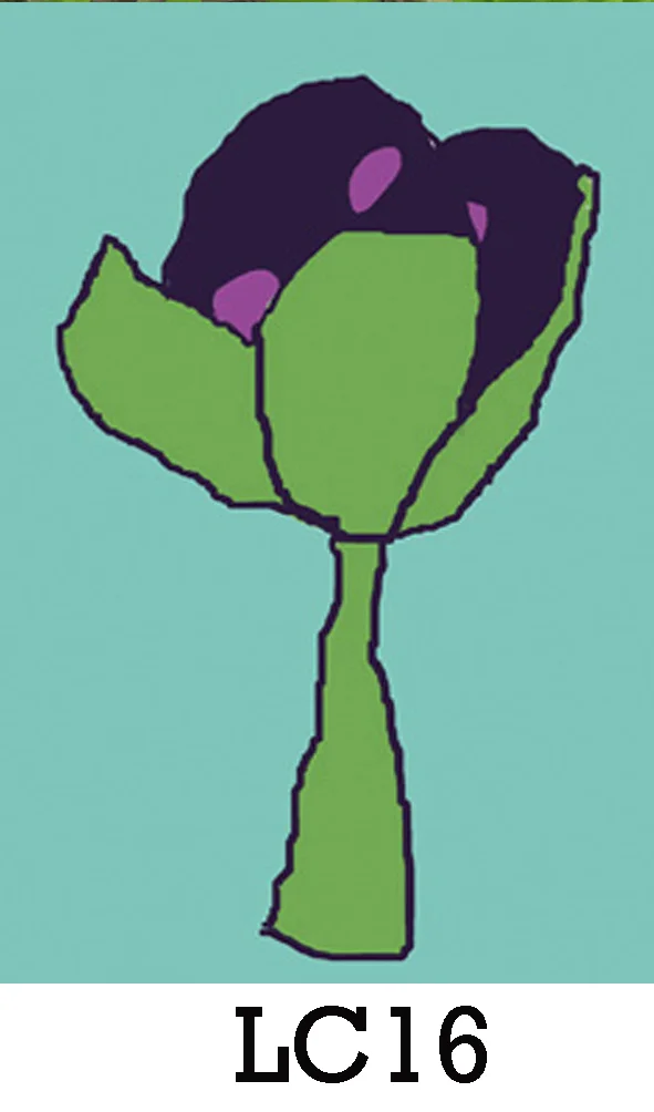 LC16.jpg