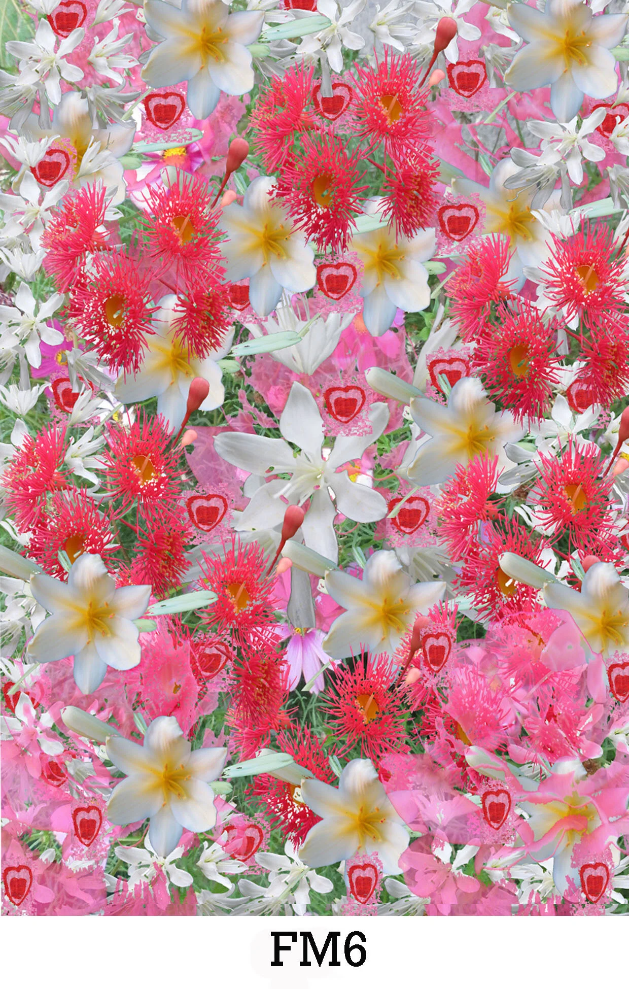 website image FM6 copy.jpg