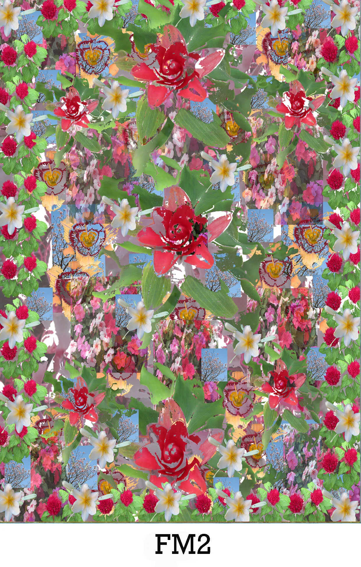 website image FM 2 copy.jpg