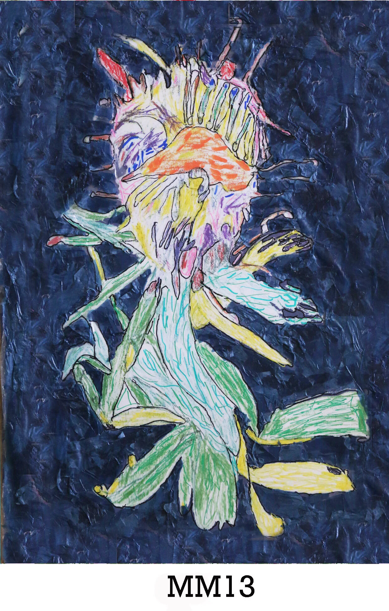 website image MM 13 copy.jpg