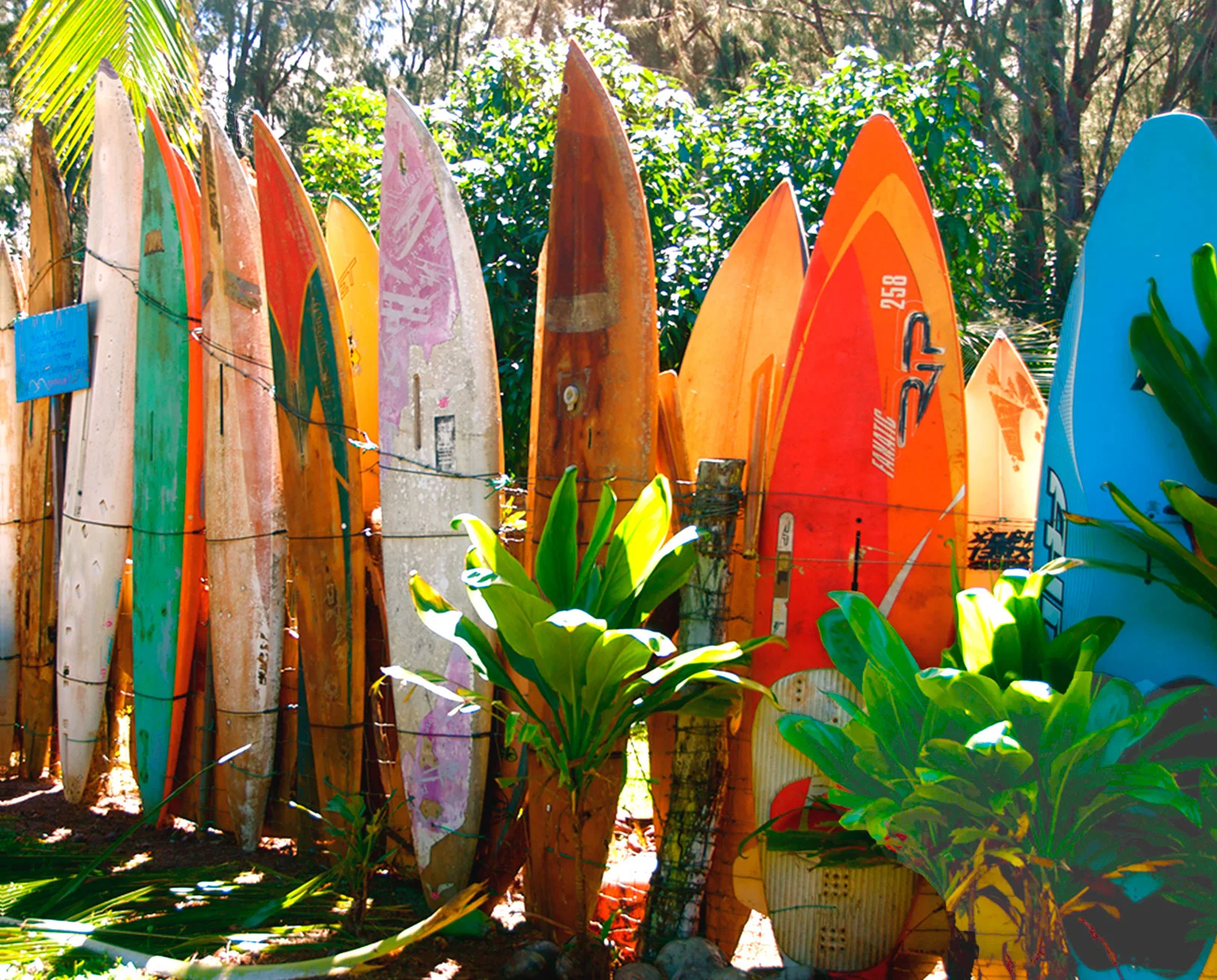 _Surfboard-Fence-Jungle-16x20-2.jpg