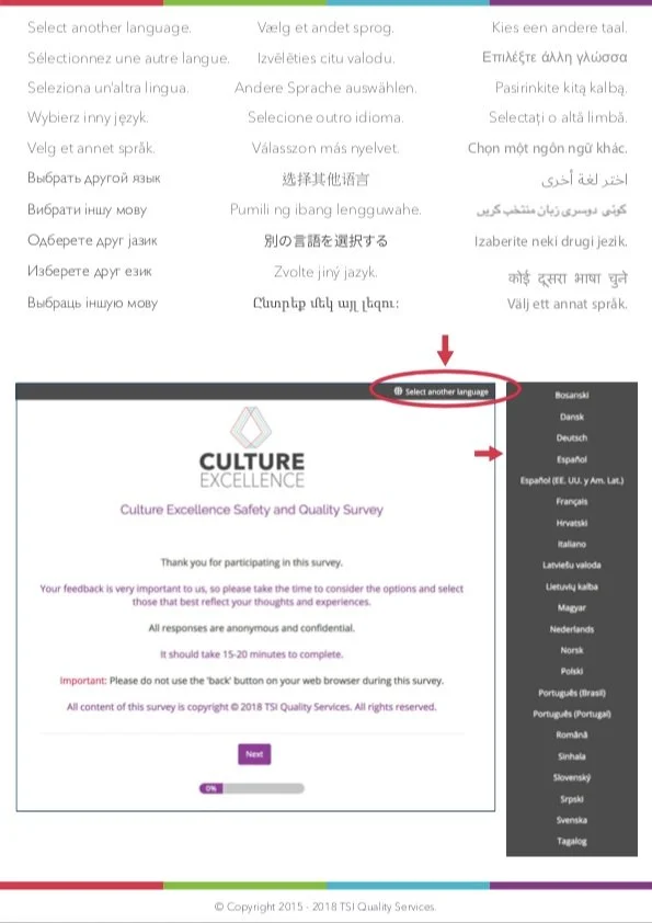 Culture Excellence Language Selection Poster