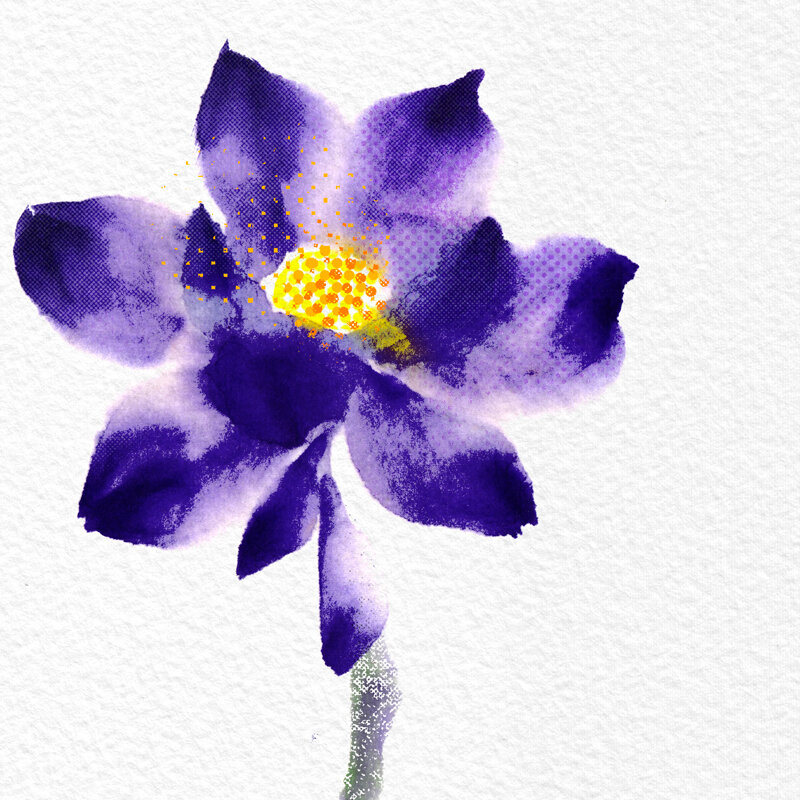 Lotus-flower.jpg