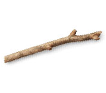 Stick-2.png