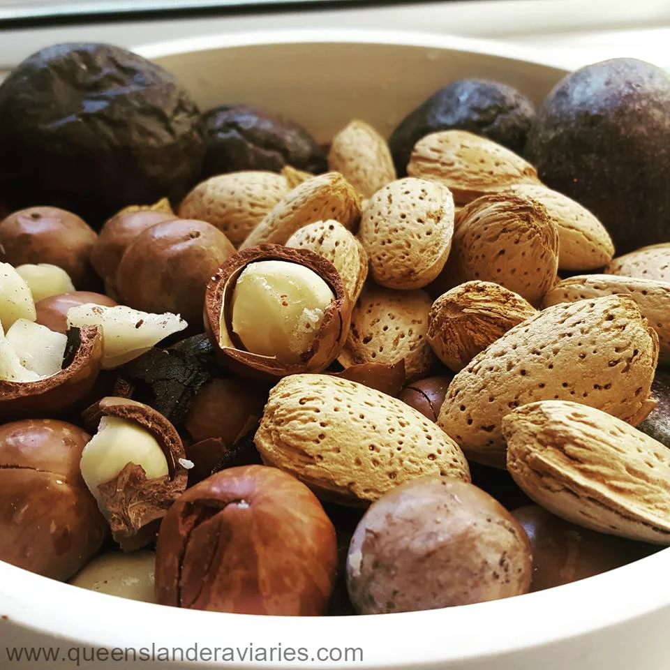 nuts.jpg