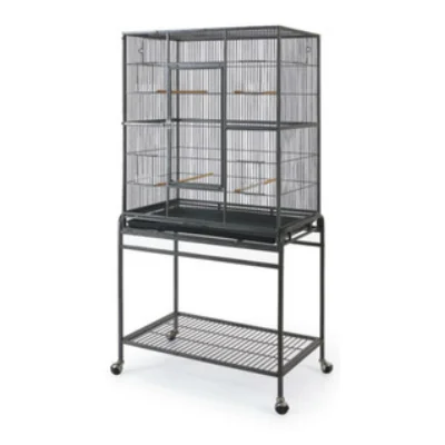 Choosing a Cage: Buy the biggest most practical cage you can afford, preferably the cage should be new, if second-hand it should be thoroughly disinfected with bird safe cleaner. Good quality cages have stands, metal seed catches and some styles have an open top. The minimum size cage would be 90cm x 50cm. 