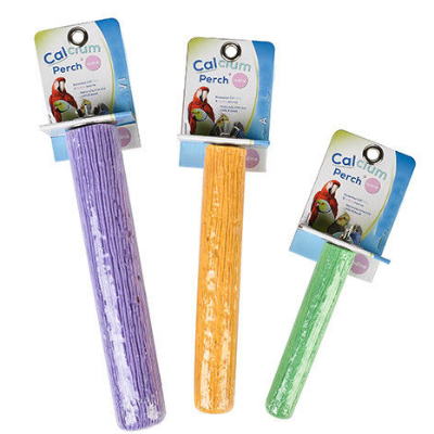 Perches: If you buy a cage that comes with smooth dowel or plastic perches, throw them in the bin. Natural wood with varied widths and textures will help exercise the feet and keep toes nails short. Eucalyptus, Bottle-brush and Lillypilly are safe as long as they have not been sprayed with dangerous chemicals. You can also buy ready made mineral perches that are also suitable to use. Do not use sand perches; these will damage your Conure's feet.