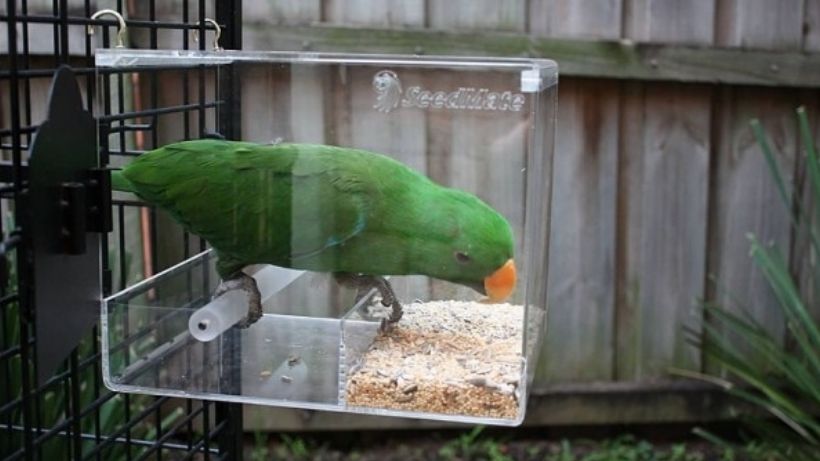 Tip: Buy two, use one for food and the other for bathing. Fill the Seedmate with a very small amount of water.