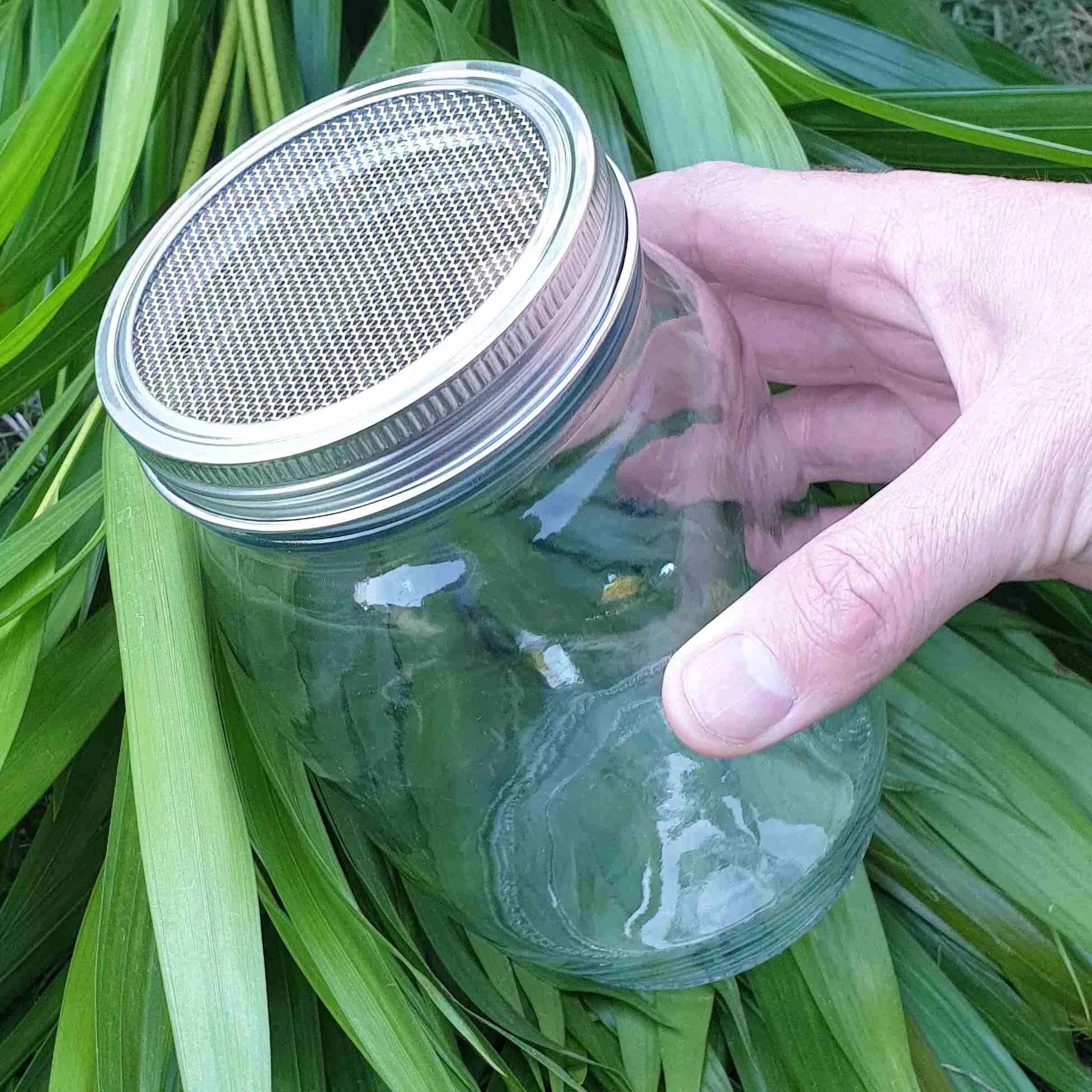 Beginner Sprouting Jar — Queenslander Aviaries