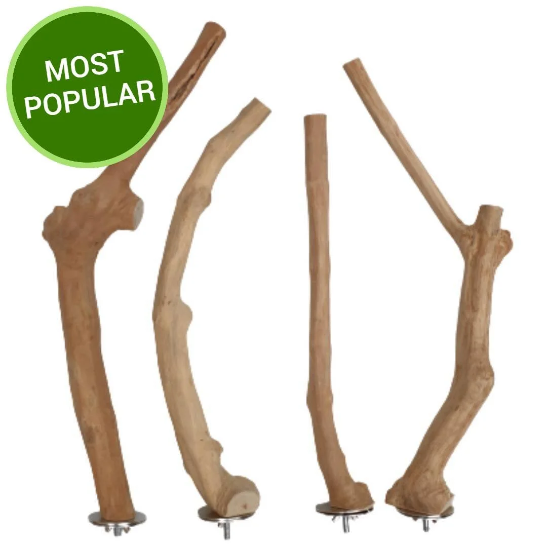 Liana Wood Perches — Queenslander Aviaries