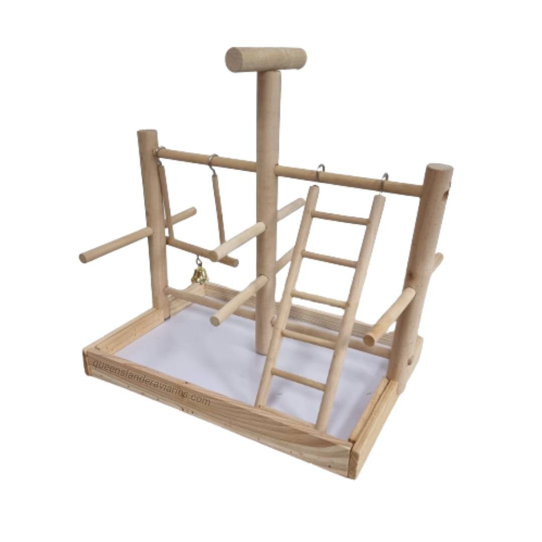 bird play gym
