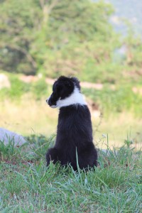 Tai taking in the view....