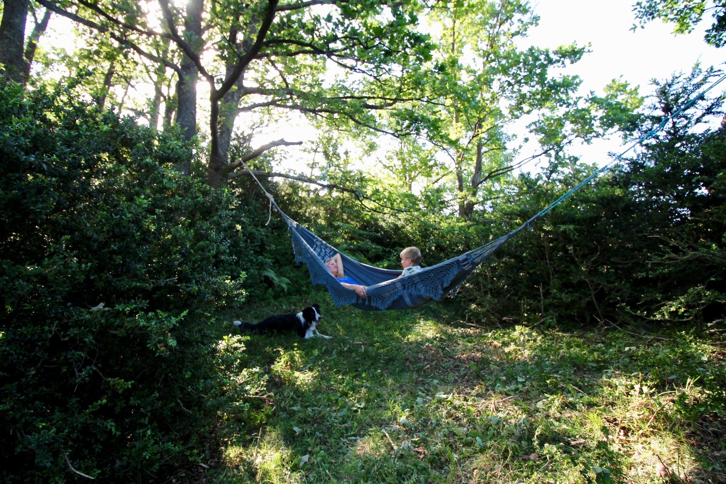 Secluded hammock spot